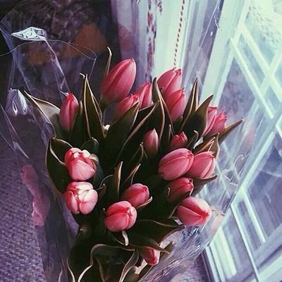 \ كُن قَنوع بِ ماا تملُک ؛ ۈ سَوفَ
تجِد نَفسَک فِ قُممّ ﺎلسَعادة ..♡\