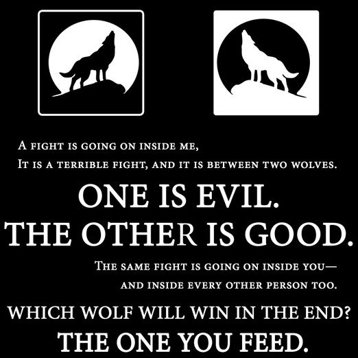 NoOtherJSIP's profile picture. 