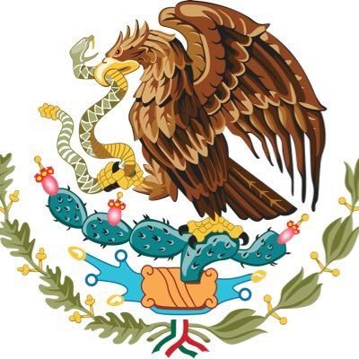 Mujer que ama a su país y cree fervientemente que actuar con responsabilidad, honestidad y compromiso,   ayudará a mejorar  nuestro México.