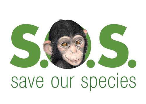 VISION: To create an international organization that contributes to the protection of endangered species through inspiring education.