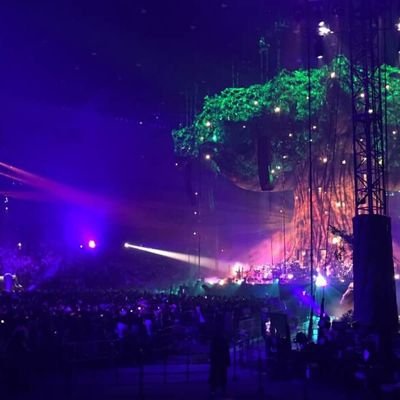 Ajag71852373's profile picture. 大学2年/フォロワー募集中 /相互フォロー100%/元野球部マネージャー