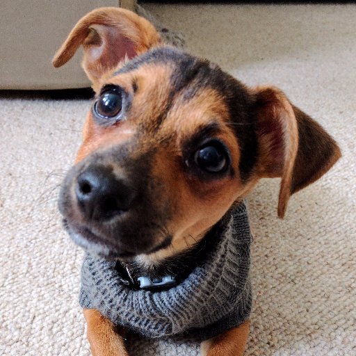 Junior developer at Delicious Creative. Specialist in Bark Driven Development. Opinions are my human's.
