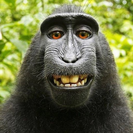 daveccopeland's profile picture. Lead UI Designer