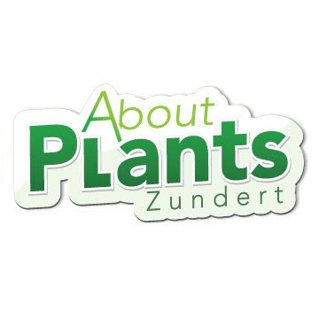 About Plants Zundert