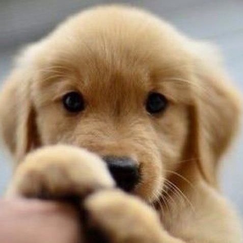 AantoniouTony's profile picture. 