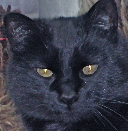 tyee2010's profile picture. I support Bill Bradbury for Governor of Oregon.  He inspires responsibility and produces results.