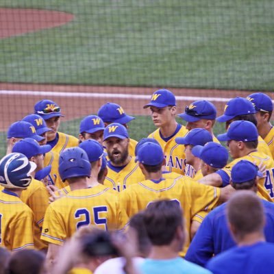 Wayzata Trojans Baseball Profile