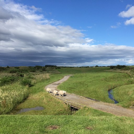 Old Tom Morris Championship Links Course dating back to 1890.
Co-host of the qualifying rounds (along with Royal Dornoch GC) for 2023 Scottish Amateur.