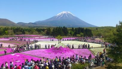 好きな言葉    一期一会