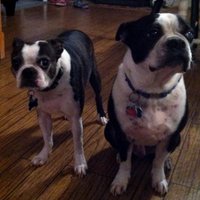 Kim Logan (@kim54547533) 's Twitter Profile