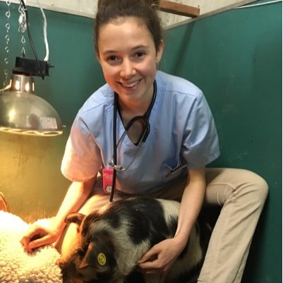 Yorkshire born farm vet and pig farmer’s daughter. Currently working & loving life in South Canterbury, NZ 🐮🐶🐷🐱🐑