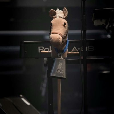 Previously Napoleon's horse, became a fan of Neil Hannon and I am now touring with The Divine Comedy