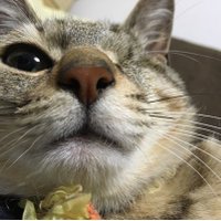 γγ ππββ¬ (@yukiyukike5) 's Twitter Profile
