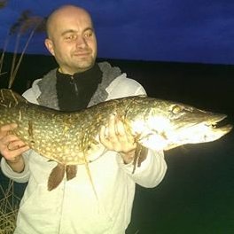 Husband and Father___I like Movie,Fishing ---C&R---, Nature,Games,Sports... :-)
