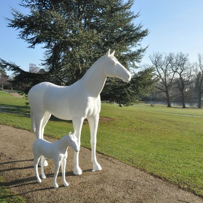 herd of the hospice thehospiceherd twitter
