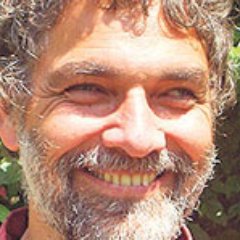 FelixLiechti's profile picture. Ornithologist; bird migration; insect migration