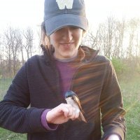 Jamie Smith (@smithjamied) 's Twitter Profile
