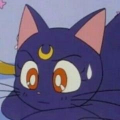 claire2lunerpg's profile picture. ️                          rpg asiatique twitter/insta            ️
 ️                          admin : @jonginc2l