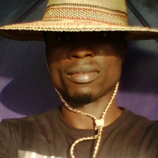 a song writer, singer,  a fun of music and an . information technology (IT) .