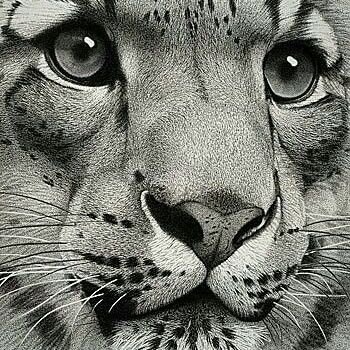 I #FOLLOWBACK WITHIN 1-2 DAYS. I UNFOLLOW WITHIN 1-2 MINUTES IF YOU #FOLLOW TO UNFOLLOW!!! #TEAMFOLLOWBACK 100%