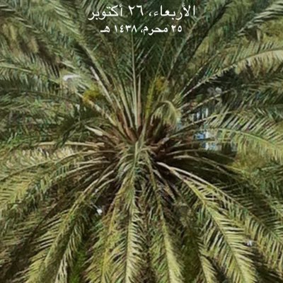 الرياض / ثادق