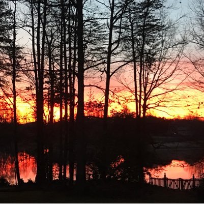 theBelleRHG's profile picture. 