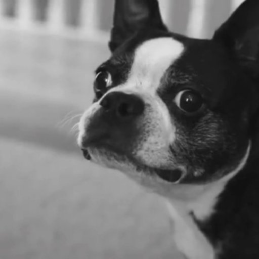 KirillGievskiy's profile picture. 