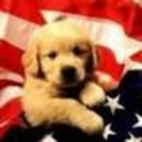 🙏 God Bless You 🇺🇸(@KariCares4U) 's Twitter Profile Photo