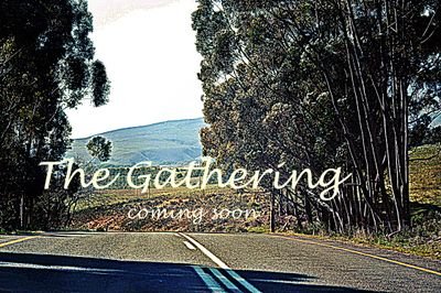 prelimcastings's profile picture. Entertainment is the emphasis as we endeavour to inspire  and create the opportunities for those who are brave enough to follow their dreams