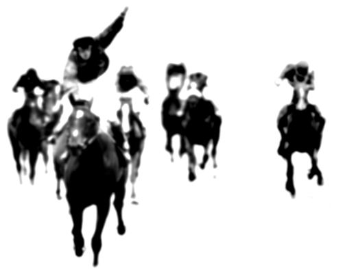 The world's first cord blood stem cell bank for horses, allowing horses avail of the revolutionary stem cell/regenerative therapy advances.