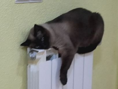 jose_hhhierro's profile picture. 