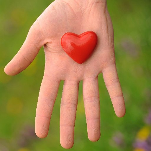 Love changing the world for the better through compassion, empowerment, inclusion, equality, choice, human rights, animal rights, and peaceful communication.