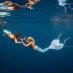 Mermaid M. 🐚 (@melisamordo) Twitter profile photo Mermaid M. 🐚 (@melisamordo) Twitter profile photo