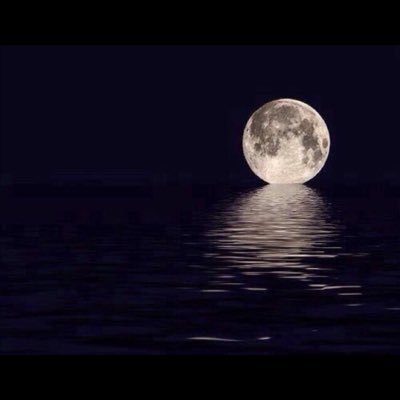 rPCsYrfebADd9xj's profile picture. ابحث عن فارس احلامي