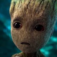 JesapelGroot's profile picture. 