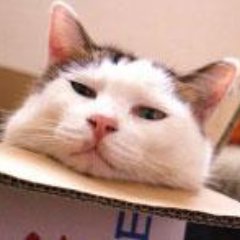 ハートサポートシステムさんのプロフィール画像
