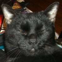 zmorphcom (@zmorphcom) 's Twitter Profile