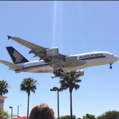 Msep003's profile picture. 