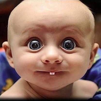 gEBug2H7YWXj3EB's profile picture. Biasa