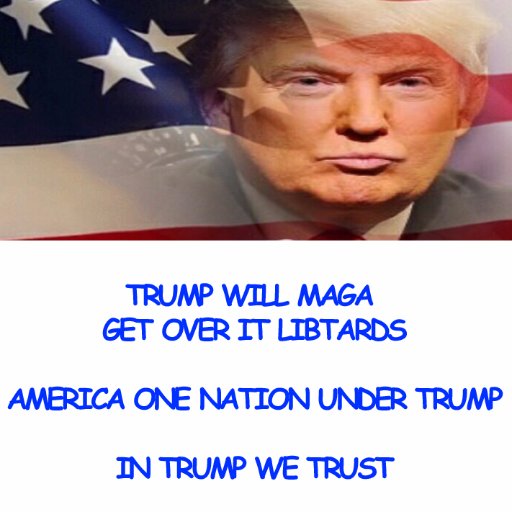 IQConservative's profile picture. Veteran. Proudly red-pilled. IQ is the highest. Love shooting libtards. God sent Trump to #MAGA.