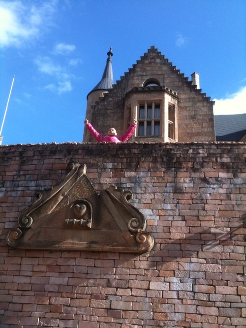 baktown's profile picture. 2021年から趣味でロードバイク始めたオジサン。新規プロダクトのPdM,PM,インフラエンジニアや、1人で生成AI使ったプロジェクトやったり