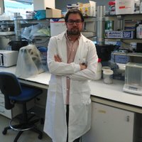 Antón Barreiro-Iglesias (@barreiroanton) 's Twitter Profile Photo Antón Barreiro-Iglesias (@barreiroanton) 's Twitter Profile Photo