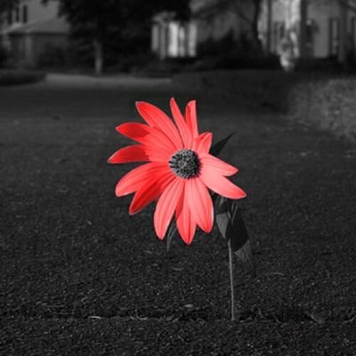 omglouise's profile picture. #StardewValleyMobile #StardewValley #quotes and sharing #recipes