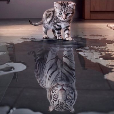 عــنــدمــا يــنــكِــســر الماء ..سأعلن أنــكــســاري