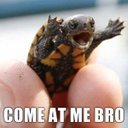 Elijah Robertson - @Basssauce200 - Twitter