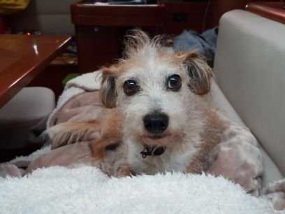 OnYVa2Paradise's profile picture. 