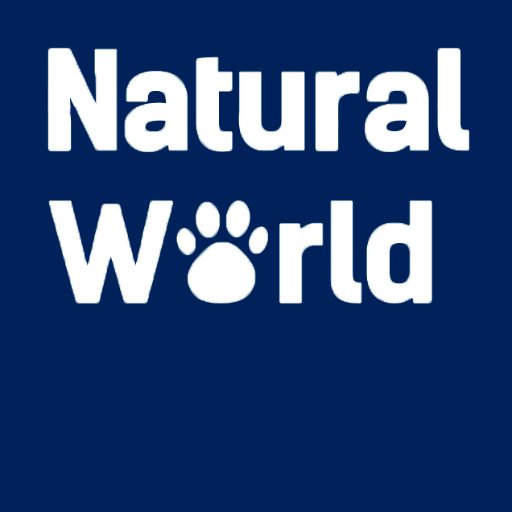 Making Life Better for Pets
https://t.co/XIDbkkmYGM
Pinterest: @naturalworl0030
Google+: https://t.co/WOhMO8bxKM
Youtube: https://t.co/Bc9YFWZqcE