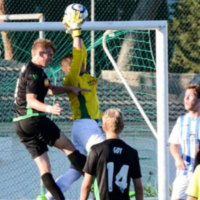 pedromanuel13's profile picture. 