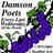 @damson_poets