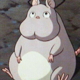 cselucsesu's profile picture. 